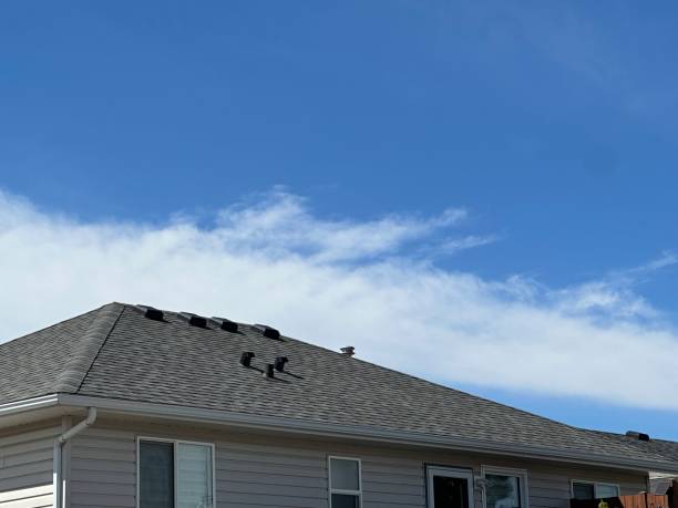 Roof Coating Services in Hyrum, UT